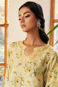 Zeenat - 2 Piece - Raw Silk(Shirt/Trouser) - Stitched - Ghonche Official
